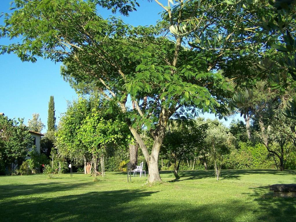 Ortali Country House Quarata Exterior photo